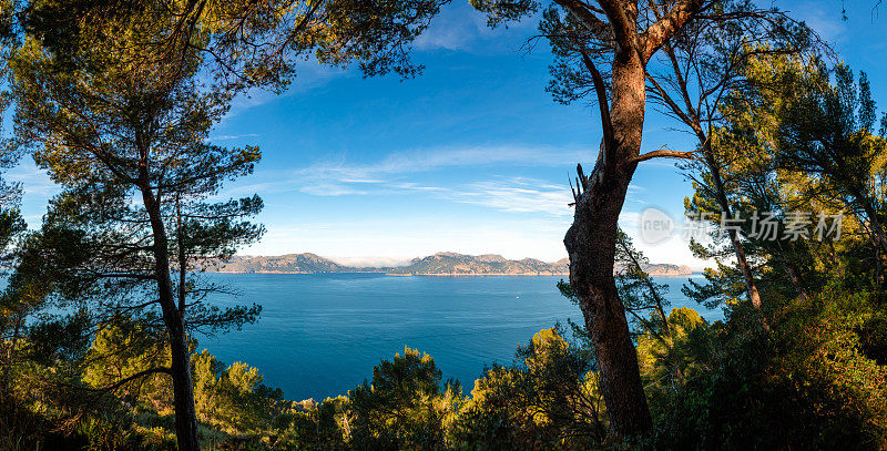 在Penya des Migdia山的半山腰，沿着松林俯瞰马略卡岛的Pollensa湾，风景如画